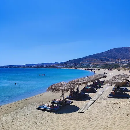 My Little Garden كريس أكتي