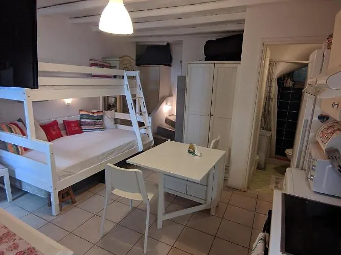 My Little Garden كريس أكتي