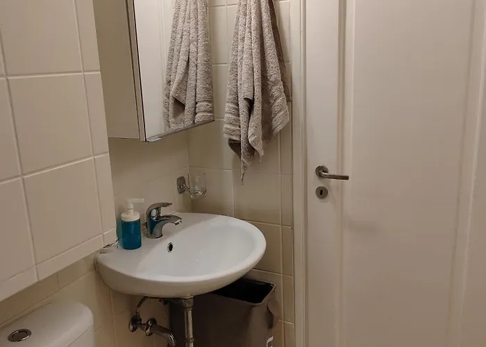 My Little Garden كريس أكتي