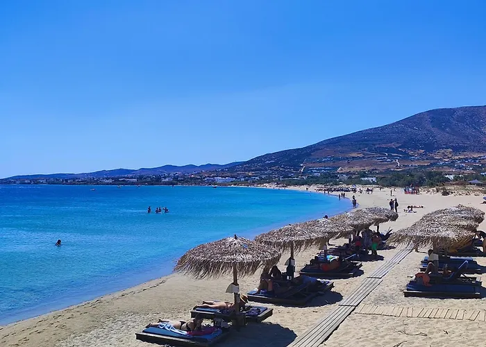 My Little Garden كريس أكتي