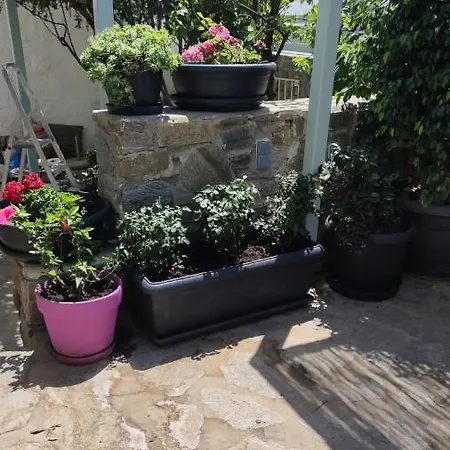 My Little Garden Holiday home *
